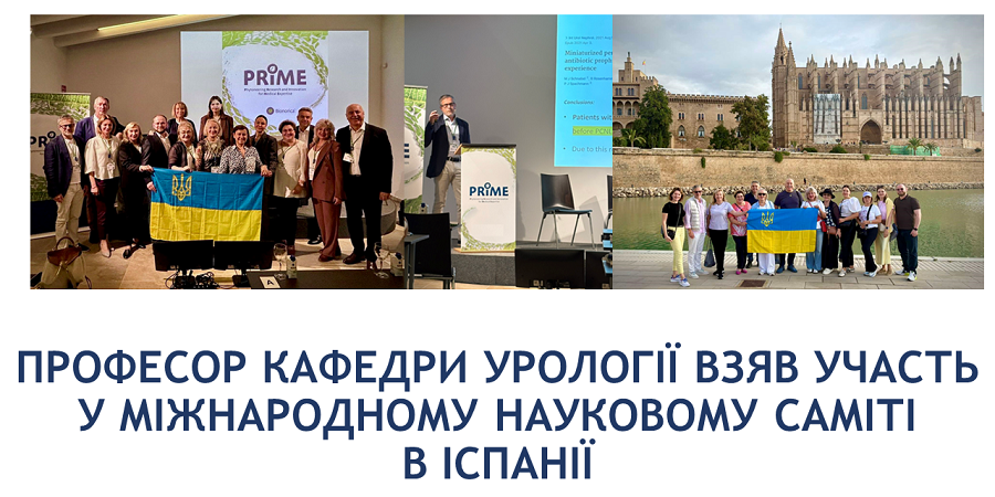 Професор кафедри урології взяв участь у Міжнародному науковому саміті в Іспанії