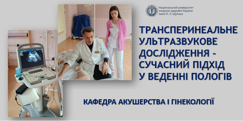 Трансперинеальне ультразвукове дослідження - сучасний підхід у веденні пологів