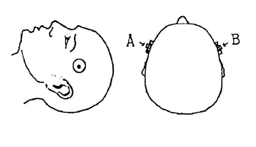bipolyarn-001.jpg